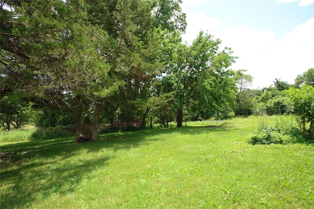24388 250th St, Eldora, IA 50627 - view of grassy yard with a view of trees