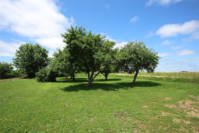 24388 250th St, Eldora, IA 50627 - view of grassy yard