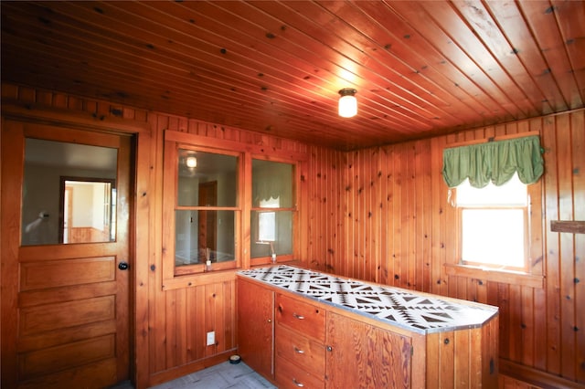 24388 250th St, Eldora, IA 50627 - kitchen featuring wooden walls and wood ceiling