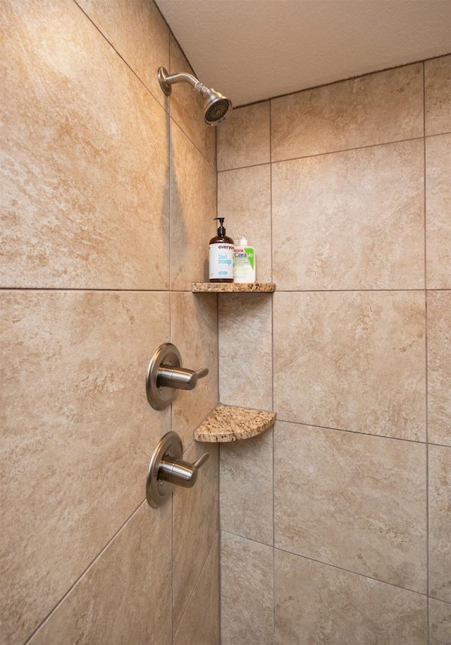2100 NW Prairie Creek Dr, Grimes, IA 50111 - bathroom view of a tile shower