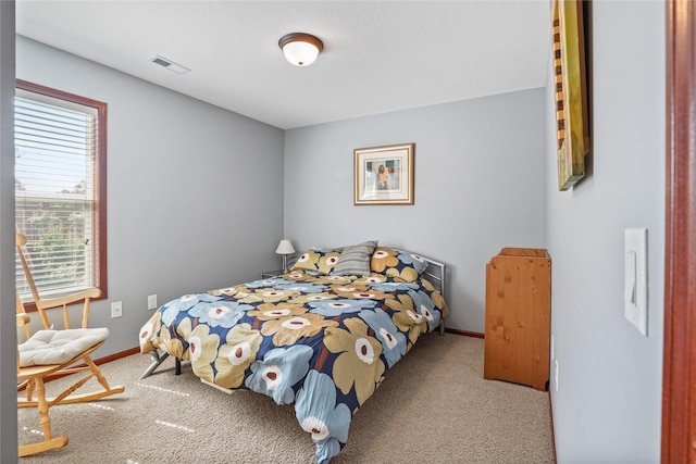 16215 Monroe Ct, Urbandale, IA 50323 - bedroom with carpet flooring and baseboards