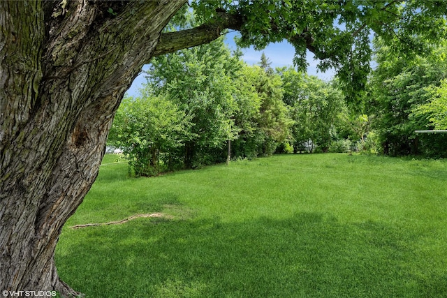 705 E Miller Ave, Des Moines, IA 50315 - view of grassy yard