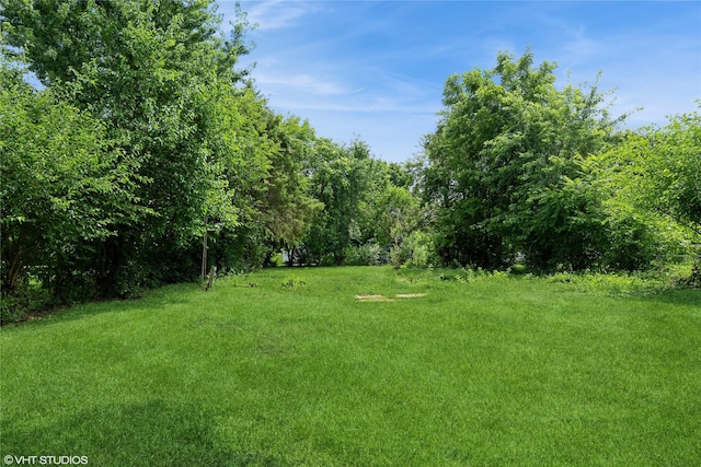 705 E Miller Ave, Des Moines, IA 50315 - view of green lawn featuring a view of trees