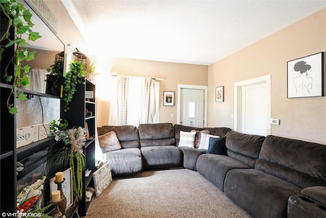 705 E Miller Ave, Des Moines, IA 50315 - living area featuring carpet flooring