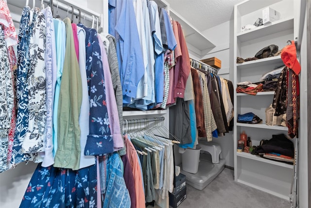 2207 Buchanan Dr, Ames, IA 50010 - walk in closet with carpet floors