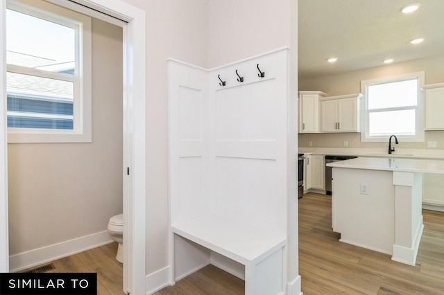 1425 Locust St, Waukee, IA 50263 - mudroom featuring light wood-type flooring and recessed lighting