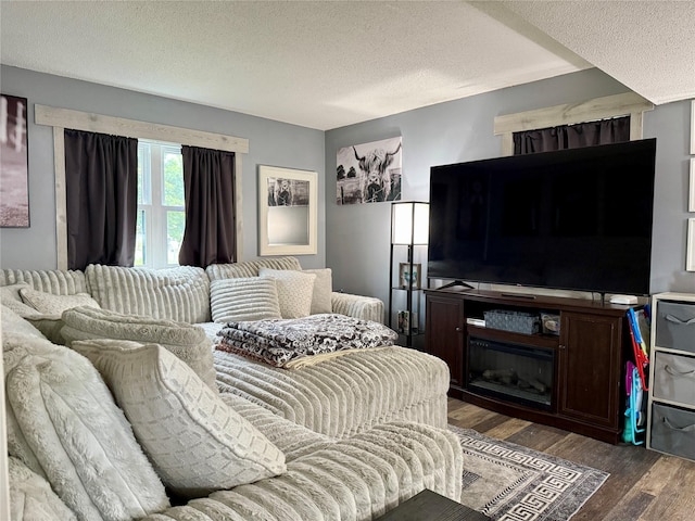205 E Livingston Ave, Des Moines, IA 50315 - living area featuring dark wood finished floors and a textured ceiling