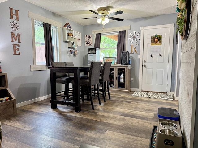 205 E Livingston Ave, Des Moines, IA 50315 - dining area with a ceiling fan, wood finished floors, and a textured ceiling