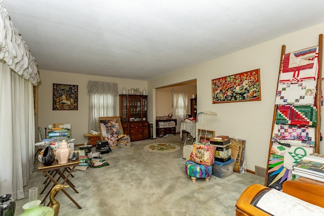 2908 Woodland Ave, West Des Moines, IA 50266 - living area featuring carpet floors