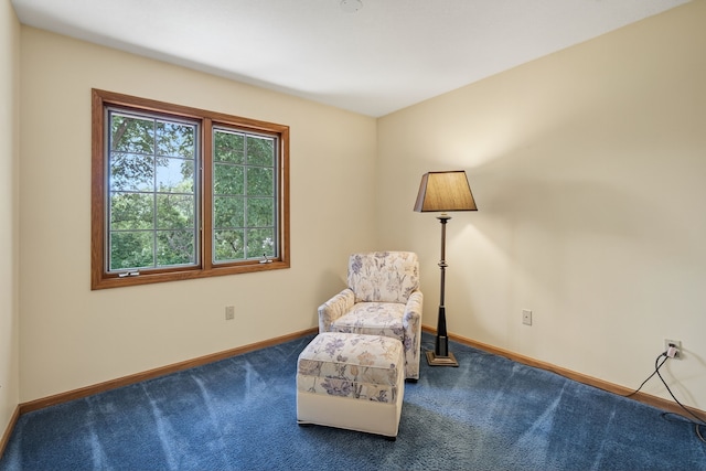 904 54th St, West Des Moines, IA 50266 - sitting room with carpet and baseboards