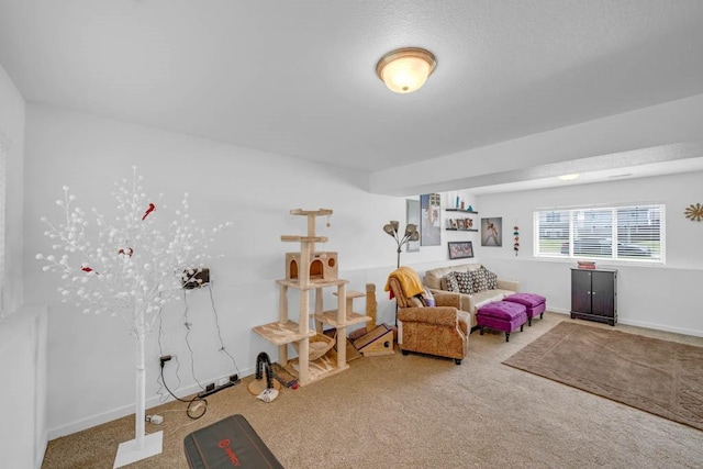 704 36th St SW, Bondurant, IA 50035 - game room featuring carpet flooring