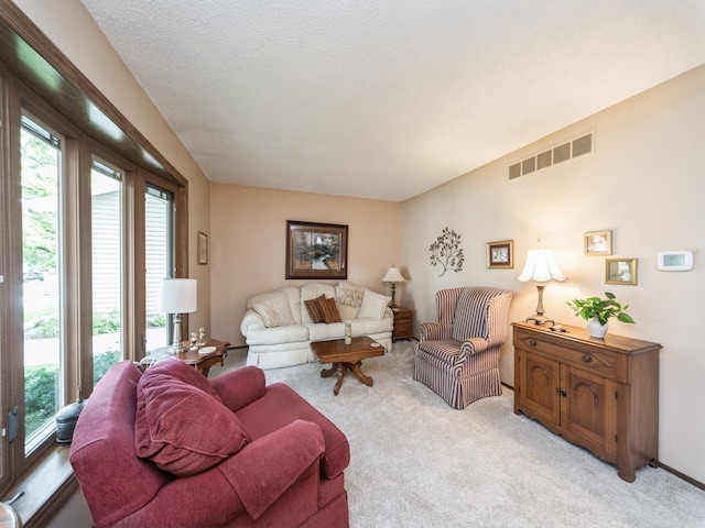 401 NW Valley View Dr, Grimes, IA 50111 - living room featuring healthy amount of natural light, carpet flooring, and a textured ceiling