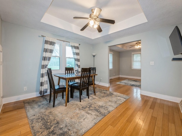 715 N Fremont St, Stuart, IA 50250 - dining room featuring a raised ceiling, ceiling fan, and light wood-style flooring