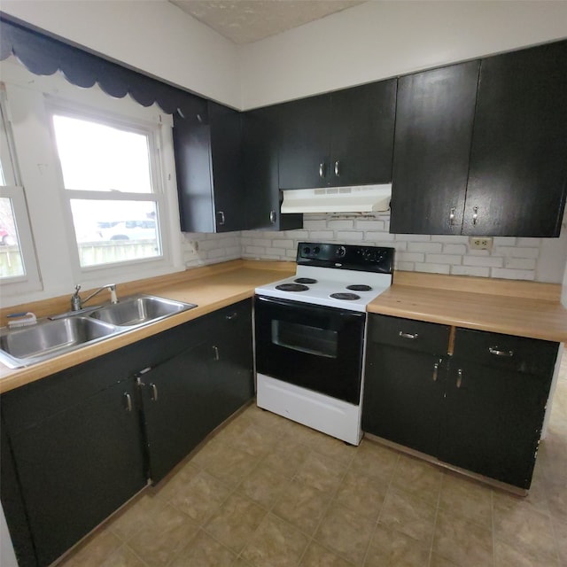 3224 SW 13th Pl, Des Moines, IA 50315 - kitchen featuring electric range oven, under cabinet range hood, dark cabinets, and backsplash