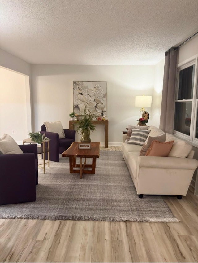 2209 4th St SW, Altoona, IA 50009 - living room featuring a textured ceiling and wood finished floors
