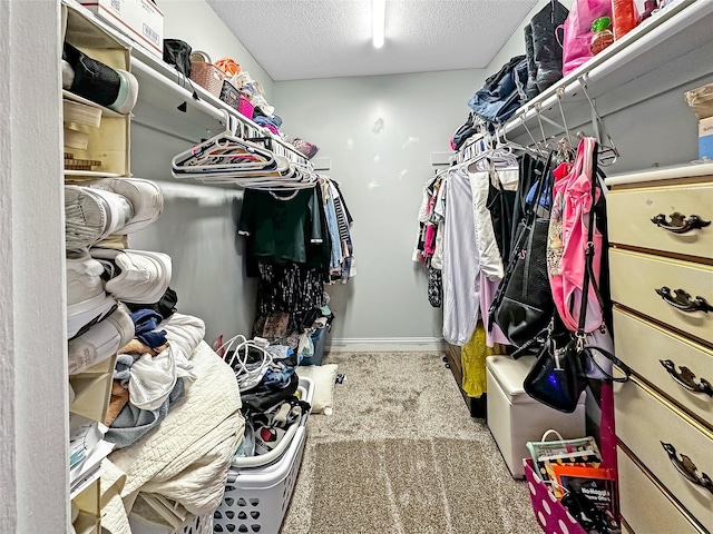 9513 University Ave Unit 12, Clive, IA 50325 - walk in closet with carpet floors