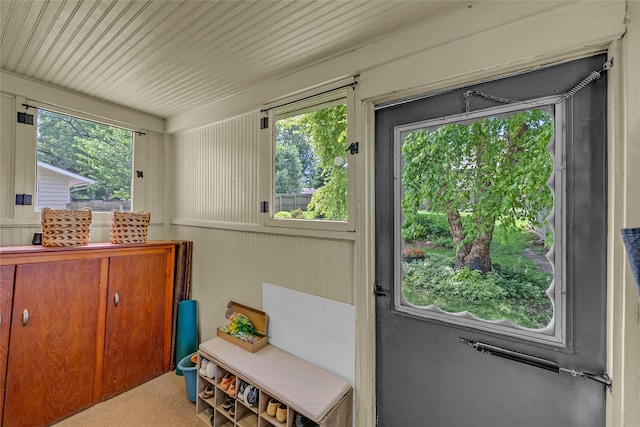 3602 64th St, Urbandale, IA 50322 - entryway featuring healthy amount of natural light