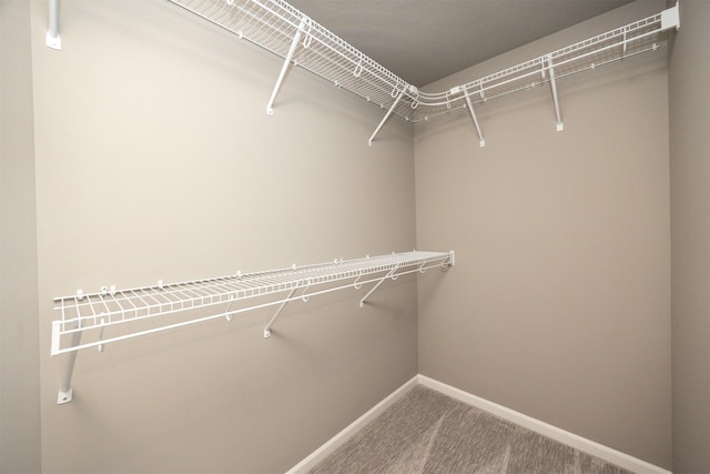 296 S 82nd St, West Des Moines, IA 50266 - walk in closet featuring carpet floors
