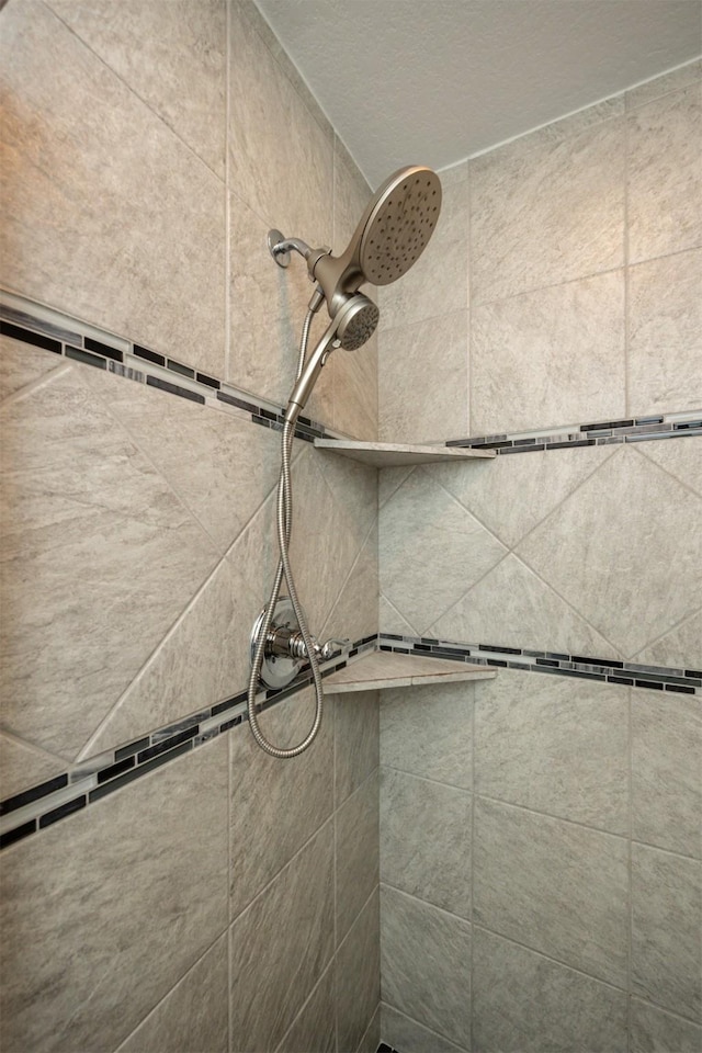 296 S 82nd St, West Des Moines, IA 50266 - bathroom view of tiled shower