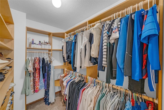 904 Pleasant St SE, Bondurant, IA 50035 - walk in closet with carpet flooring