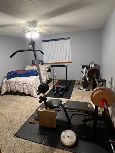 4806 Waller St, Ames, IA 50014 - exercise area featuring a ceiling fan and carpet floors