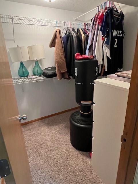 4806 Waller St, Ames, IA 50014 - spacious closet with carpet floors