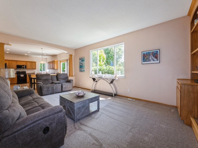 705 SE Whitetail Ln, Waukee, IA 50263 - living area with decorative columns and light carpet