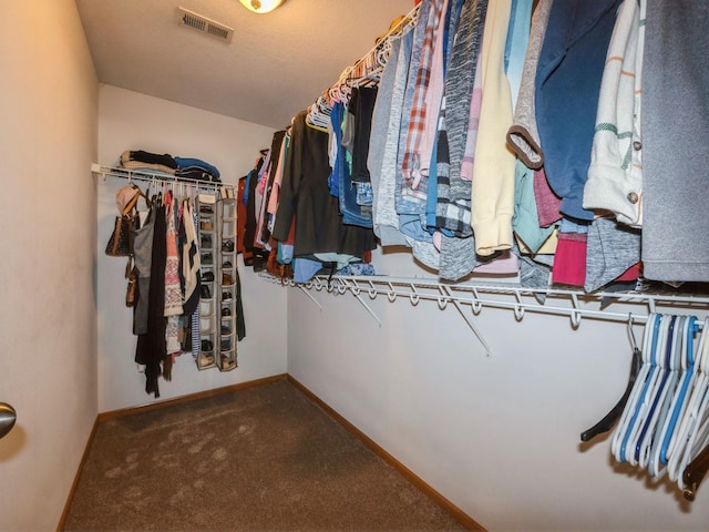 705 SE Whitetail Ln, Waukee, IA 50263 - walk in closet featuring carpet floors