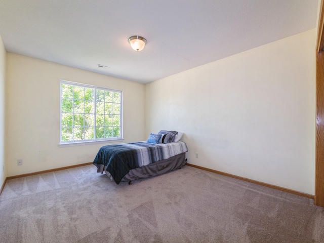 705 SE Whitetail Ln, Waukee, IA 50263 - bedroom featuring baseboards and carpet flooring