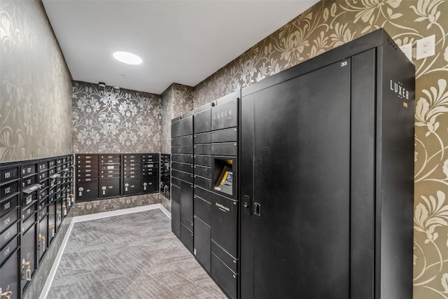 9065 Bishop Dr Unit 314, West Des Moines, IA 50266 - view of community with wallpapered walls and mail area