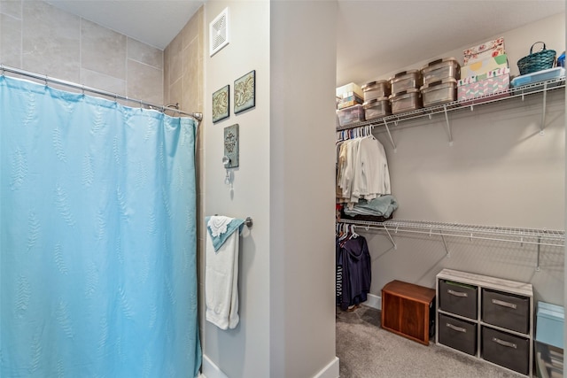 9065 Bishop Dr Unit 314, West Des Moines, IA 50266 - full bath with a spacious closet and a shower with shower curtain
