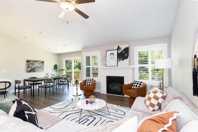 2529 SE Integra Ave, West Des Moines, IA 50265 - living room featuring plenty of natural light, wood finished floors, a ceiling fan, and a fireplace