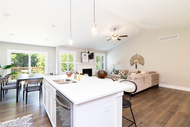 2529 SE Integra Ave, West Des Moines, IA 50265 - kitchen featuring stainless steel dishwasher, open floor plan, lofted ceiling, light countertops, and a fireplace