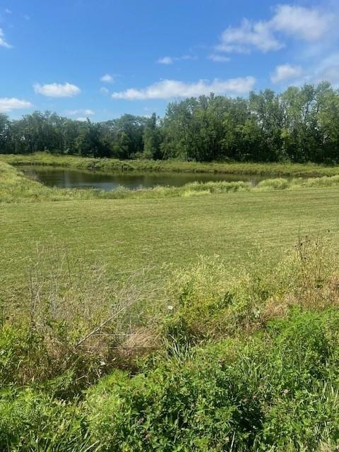 18234 Tanglewood Dr, Clive, IA 50325