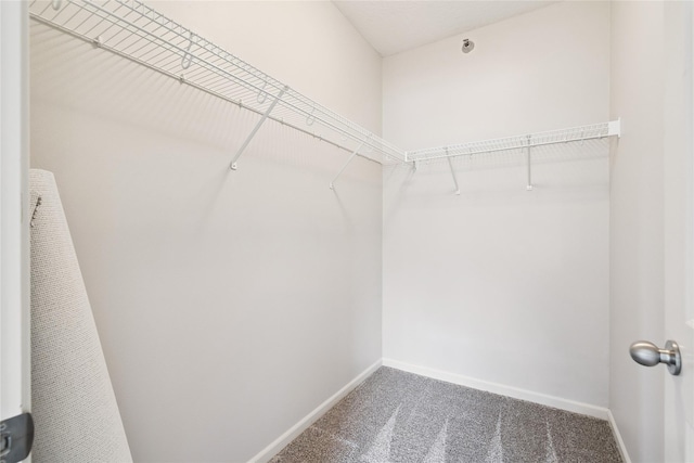 1313 SE University Ave Unit 206, Waukee, IA 50263 - spacious closet featuring carpet