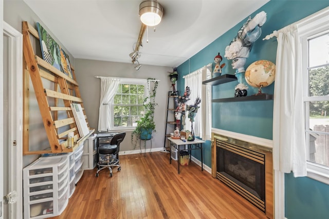 3923 Maquoketa Dr, Des Moines, IA 50311 - office space featuring wood finished floors, healthy amount of natural light, a glass covered fireplace, and track lighting