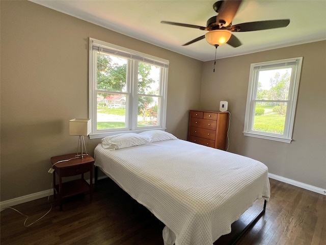 314 E 14th St N, Newton, IA 50208 - bedroom featuring multiple windows, dark wood-style floors, and a ceiling fan