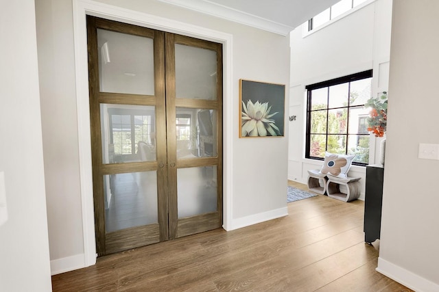 710 Peace St Unit 3D, Pella, IA 50219 - corridor featuring wood finished floors and ornamental molding