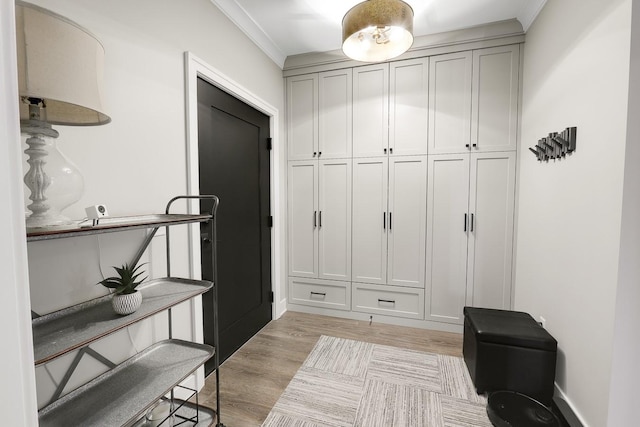 710 Peace St Unit 3D, Pella, IA 50219 - mudroom featuring light wood-type flooring and crown molding