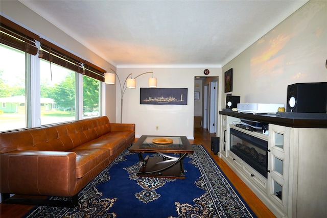 3600 Brinkwood Rd, Des Moines, IA 50310 - living room featuring wood finished floors