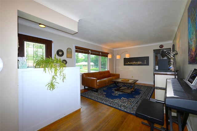 3600 Brinkwood Rd, Des Moines, IA 50310 - living room featuring wood finished floors and plenty of natural light