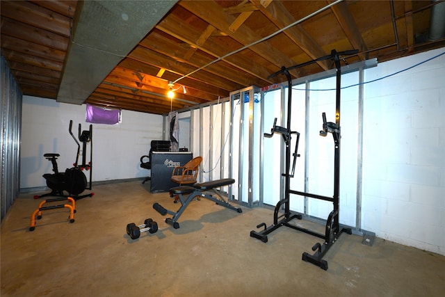 3600 Brinkwood Rd, Des Moines, IA 50310 - exercise area featuring concrete block wall