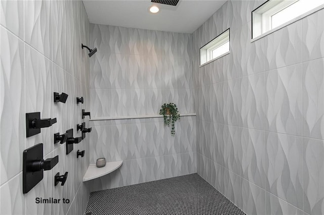 790 Hamilton Rd, Waukee, IA 50263 - full bathroom with tiled shower