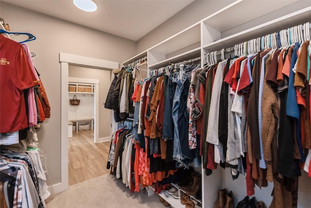 17965 Hammontree Cir, Clive, IA 50325 - view of spacious closet