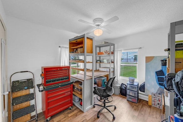 1020 SW 3rd St, Nevada, IA 50201 - office featuring ceiling fan, wood finished floors, and a textured ceiling