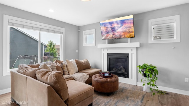 1208 NE 21st St, Grimes, IA 50111 - living area with wood finished floors, a glass covered fireplace, and recessed lighting
