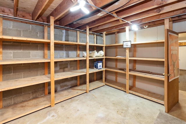 702 Jasper Ave NE, Mitchellville, IA 50169 - view of storage