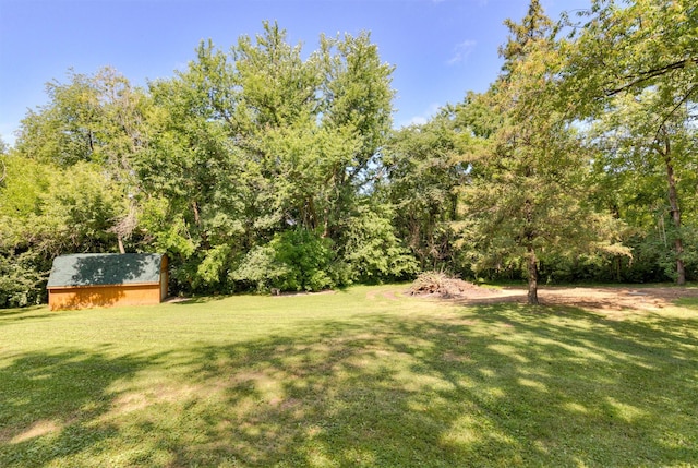 702 Jasper Ave NE, Mitchellville, IA 50169 - view of green lawn with a storage unit and a forest view