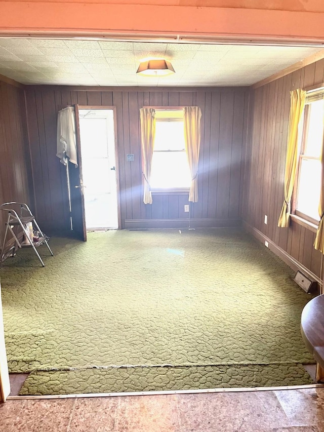 1348 Idaho St, Des Moines, IA 50316 - carpeted spare room featuring healthy amount of natural light and wooden walls