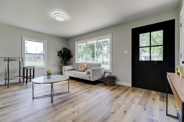 1437 E Pleasant View Dr, Des Moines, IA 50320 - living room with light wood-type flooring and baseboards